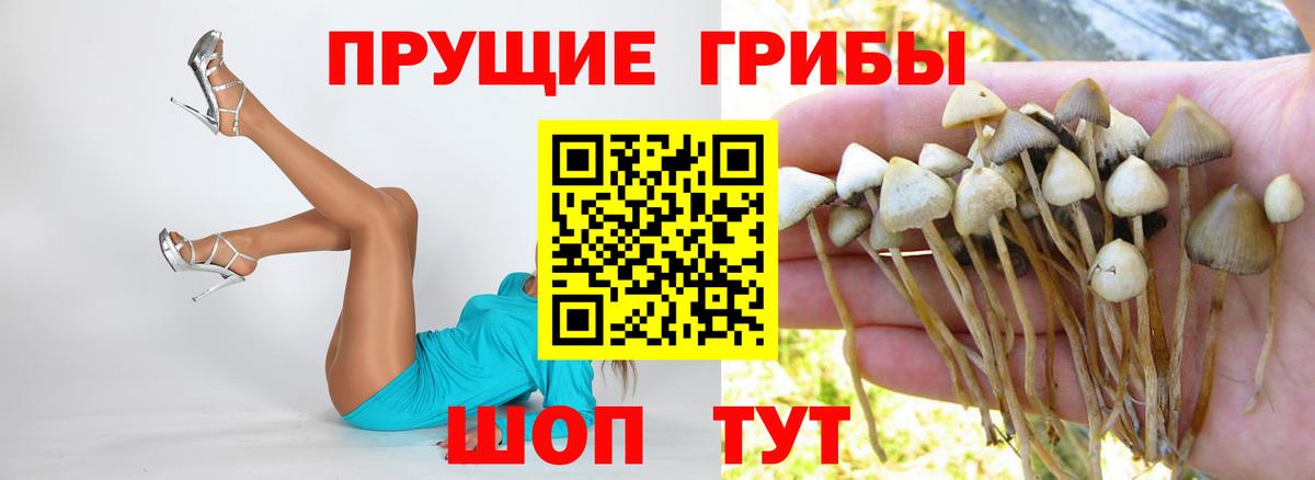 Псилоцибиновые грибы мухоморы  Вход с VPN  Новоуральск 
